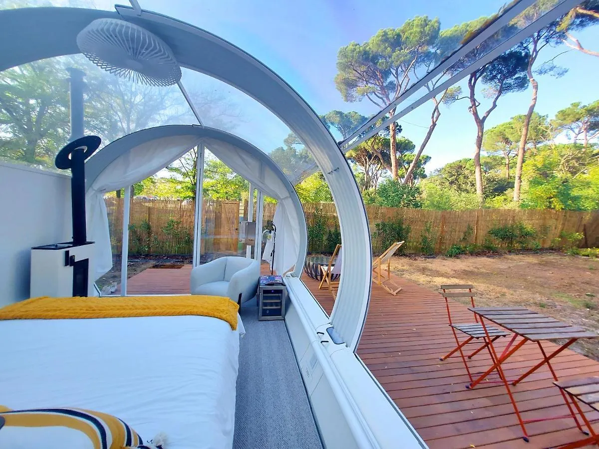 Campsite Tubbo Experience By Camping Osuna Madrid